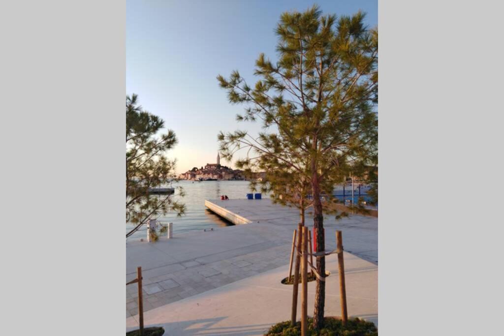 Apartman Sertic Nenad Rovinj Zewnętrze zdjęcie